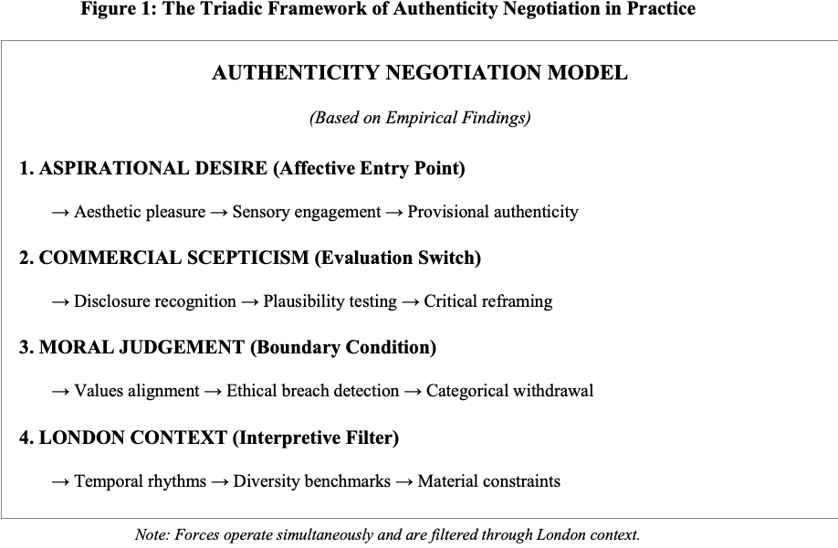 Triadic framework developed from the research findings